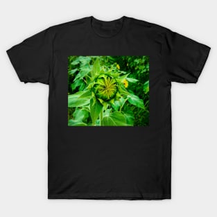 Ready To Open Sunflower T-Shirt